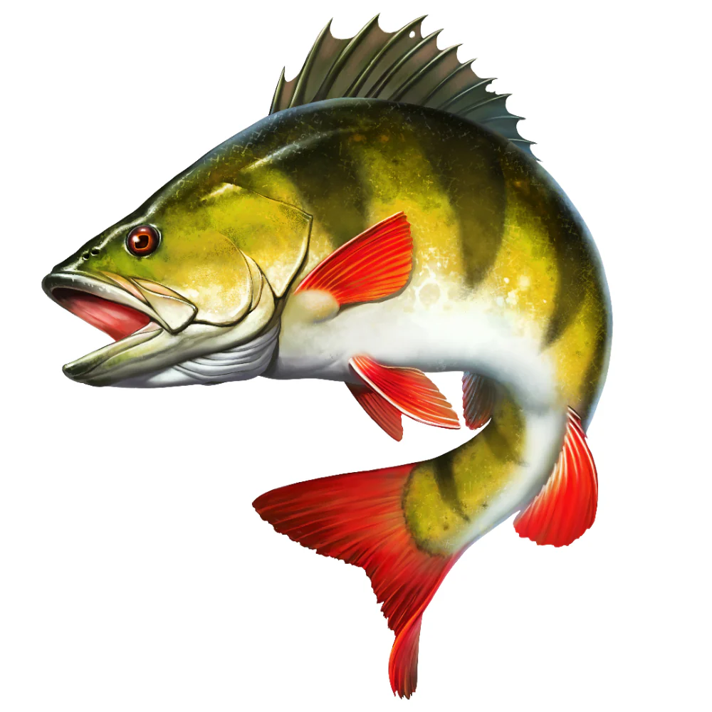 Tuotekuva 1