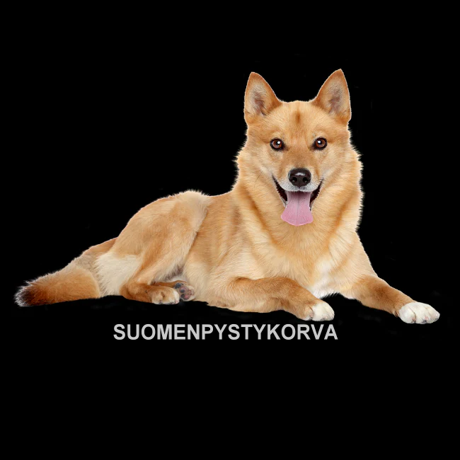 Pikkukuva 2