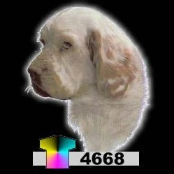 Pikkukuva 1