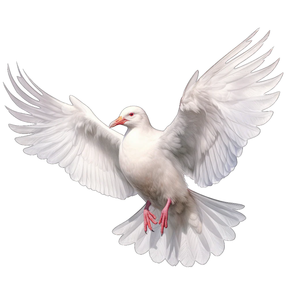 Tuotekuva 1