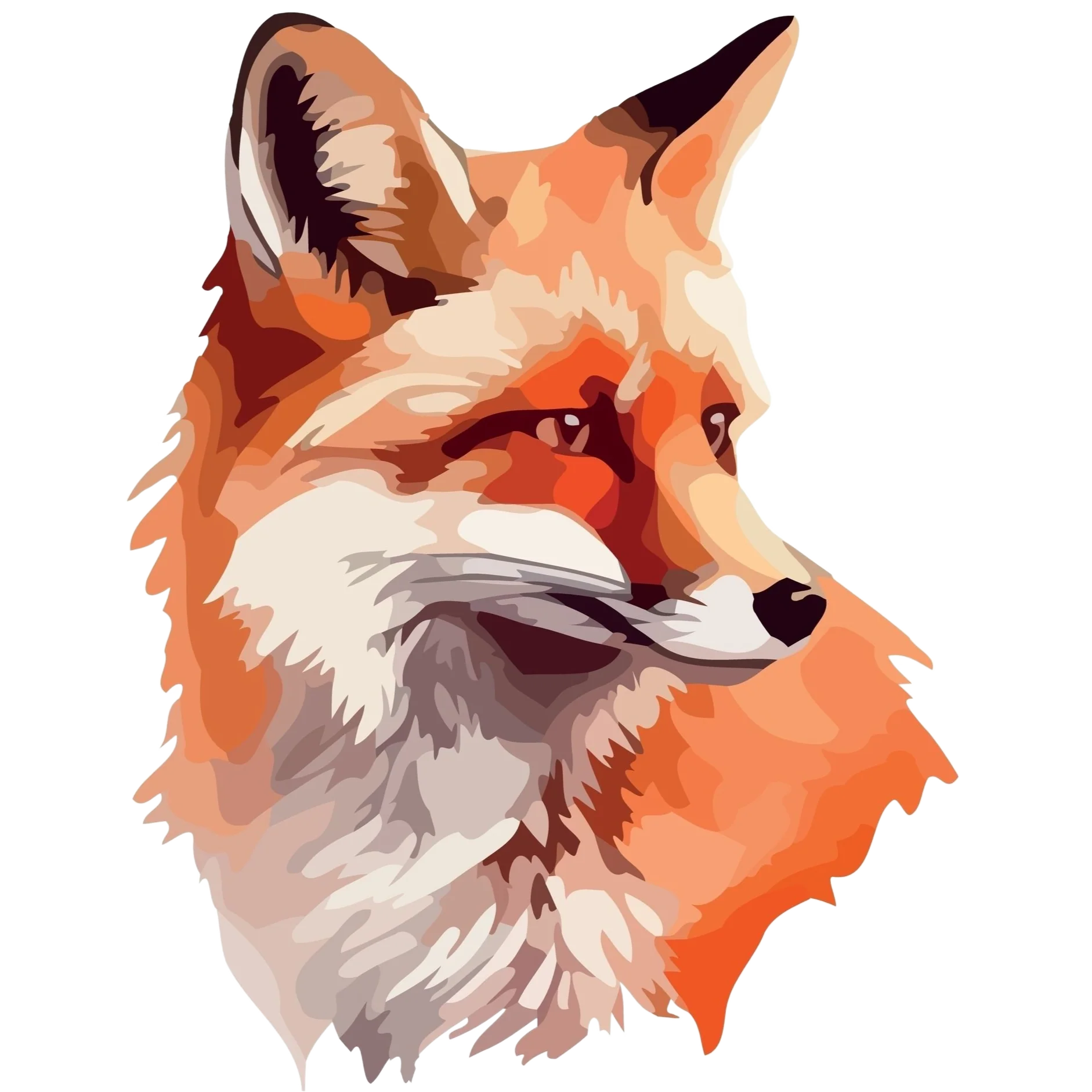 Tuotekuva 1