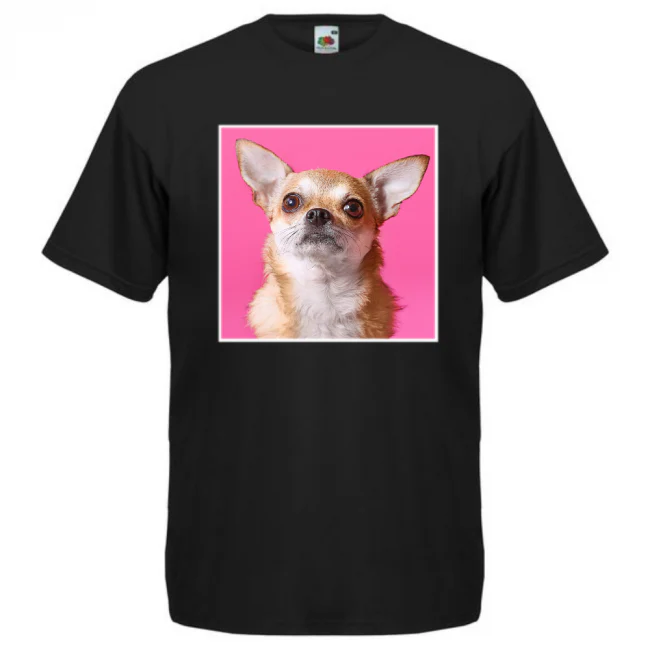Pikkukuva 1