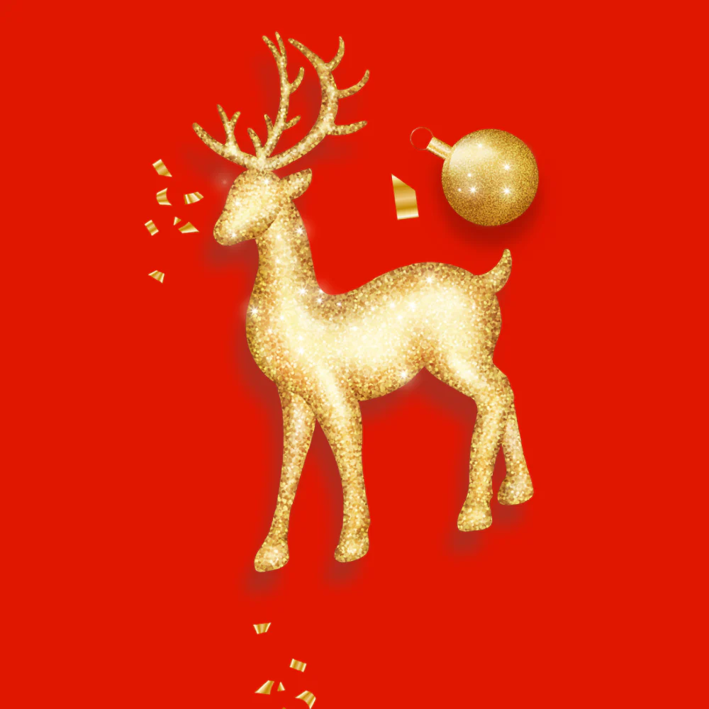 Pikkukuva 3
