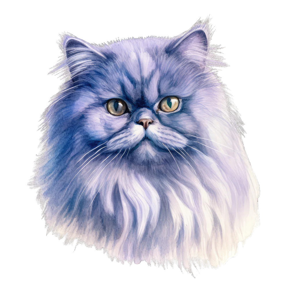 Tuotekuva 1