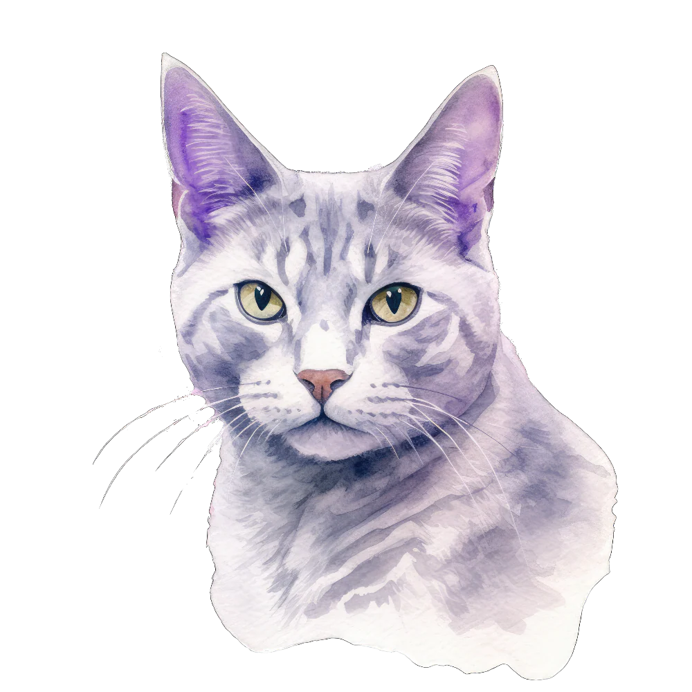 Tuotekuva 1