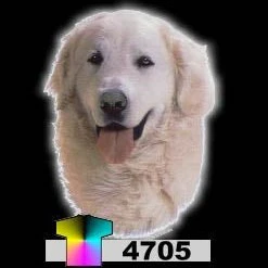 Tuotekuva 1