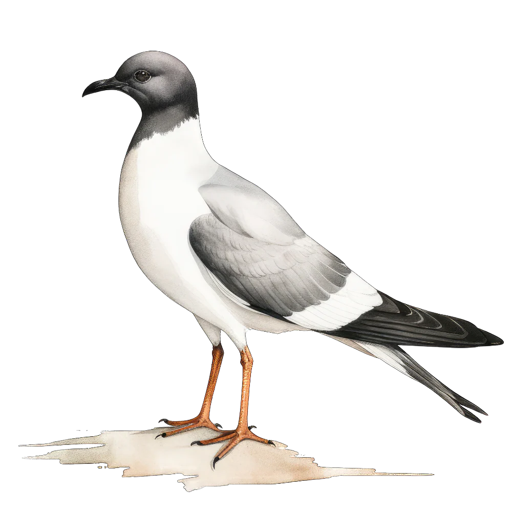 Tuotekuva 1