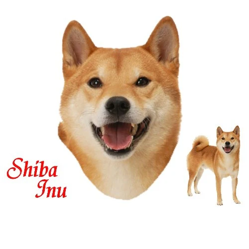 Tuotekuva 1