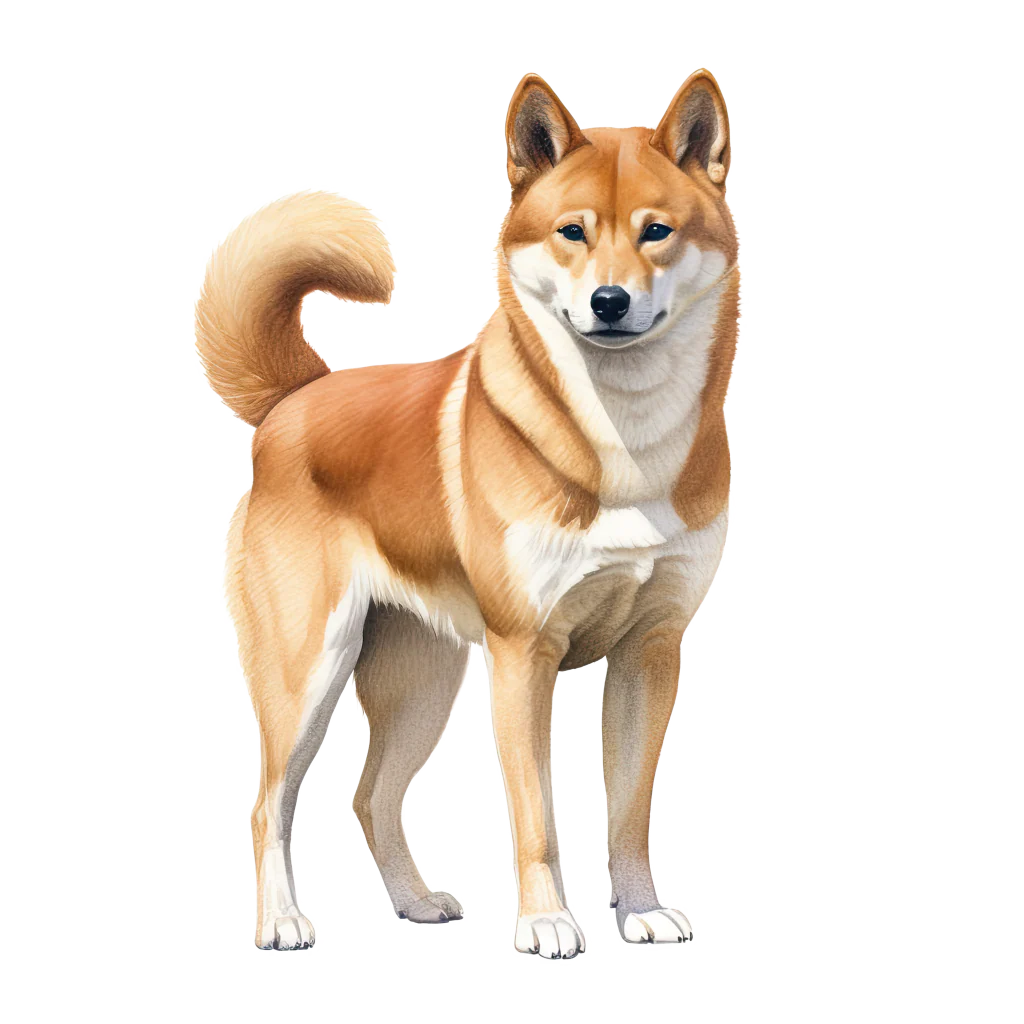 Tuotekuva 1