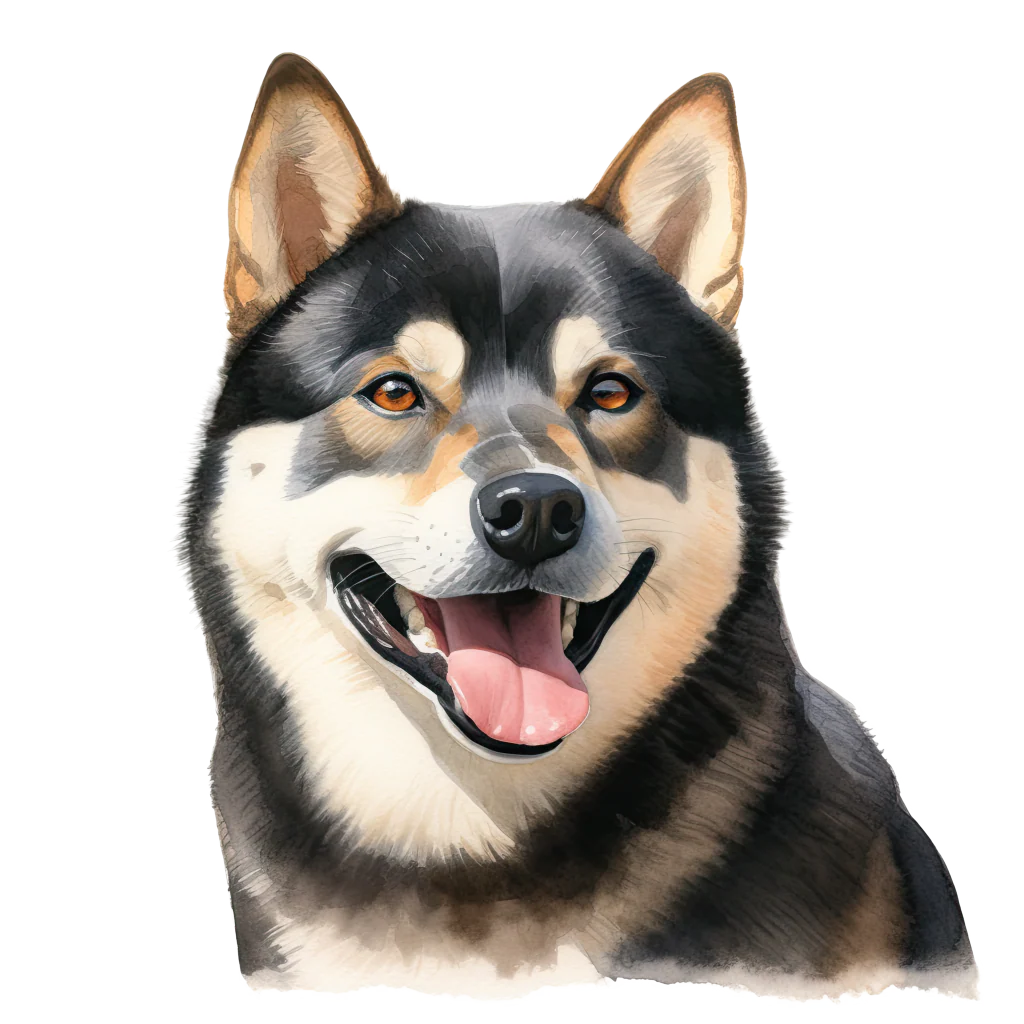 Tuotekuva 1