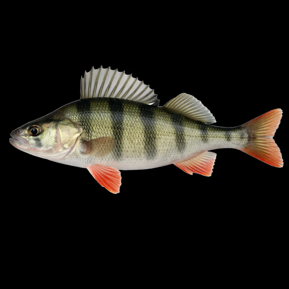 Pikkukuva 2